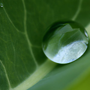 Community-Based Water Management Initiatives: Case Studies And Success ... - Community-Led Water Management
