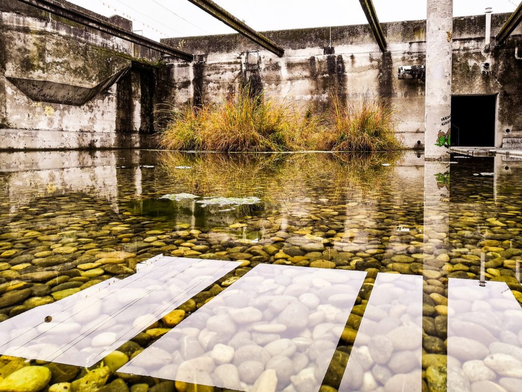 The Role of Media in Educating the Public about Wastewater Treatment